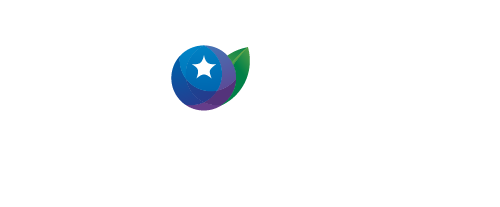 BlueberryBoostAcceleratorLogo_ColorInverted-1