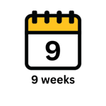 9 weeks