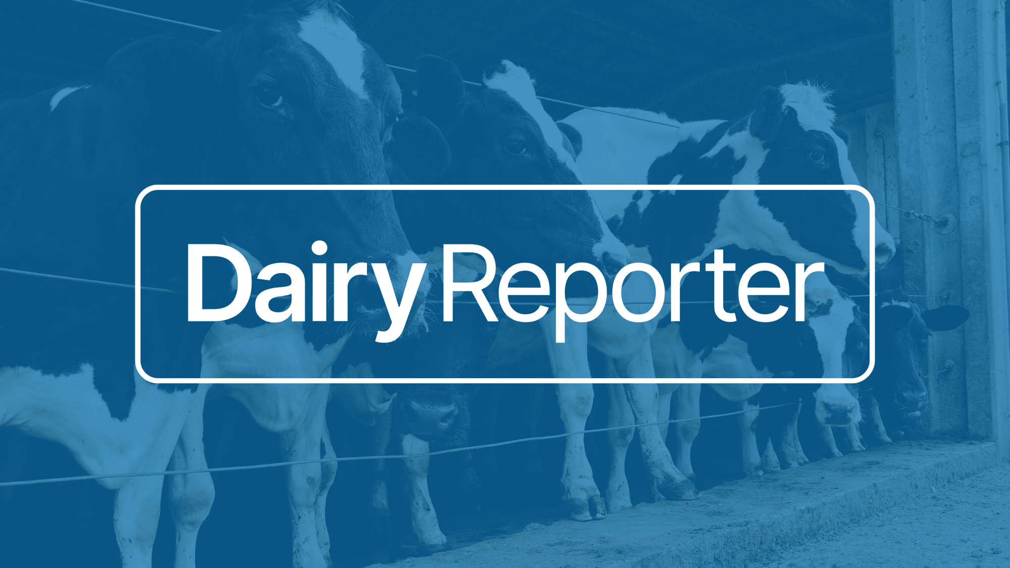 Dairy Reporter